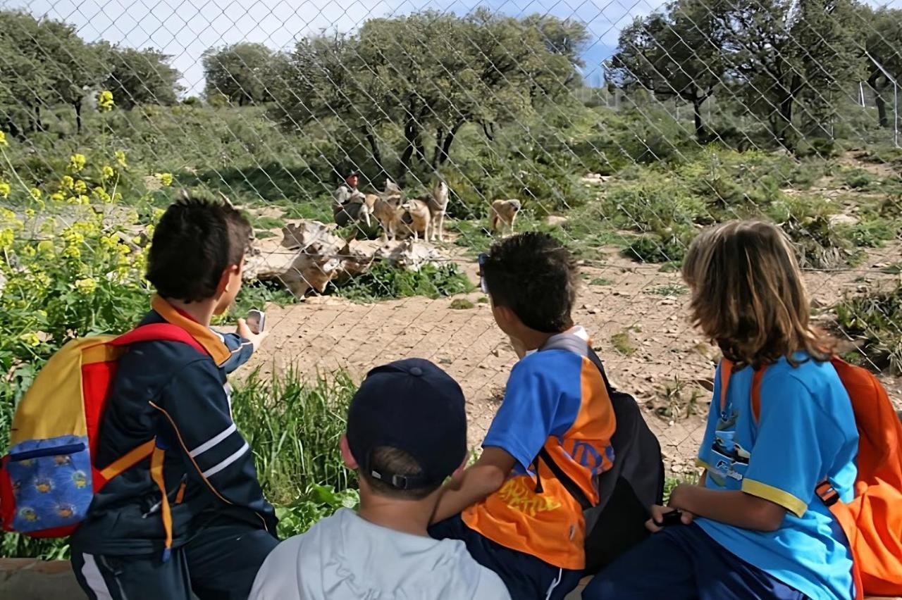 فندق هوسبيدريا كولون أنتيكيرا المظهر الخارجي الصورة